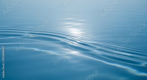 Beautiful Water Lily Blooming in Serene Pond Minimalist Floral Landscape Tranquility and Peace Concept for Wellness