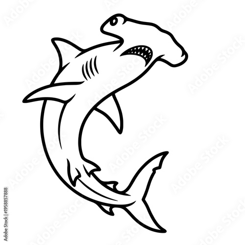 Hammerhead Shark Marine Life Predator Vector Illustration