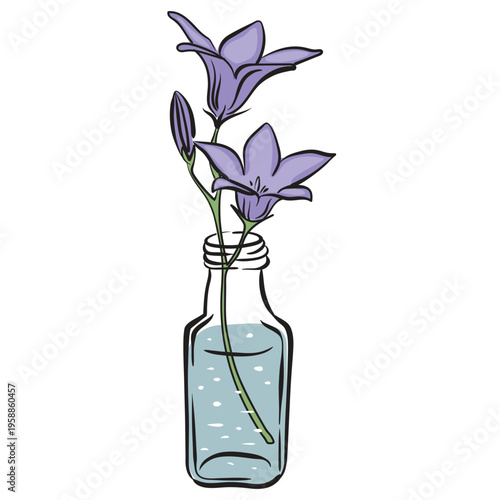 Hand drawn sketch bellflower in a vase, in outline style. Minimalist botanical illustration of blue flowers in a glass jar. For gifts, prints, cards, and wedding designs.
