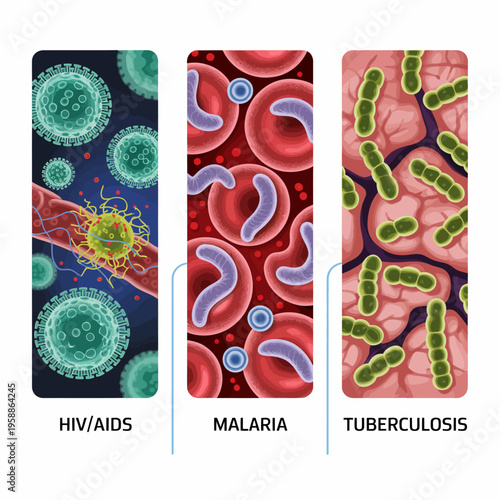Bacteria and viruses in blood cells.