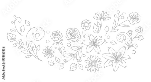 Variety of flowers in bloom line.