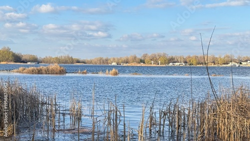 Spring riverside landscape with dry reeds and calm blue water