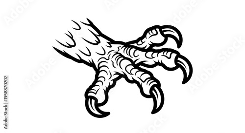 Bird claw with sharp talons closeup.
