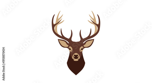 Deer head with large antlers closeup.