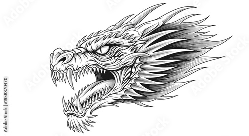 Dragon head with sharp teeth roaring.