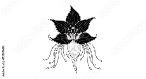 A minimalist black and white vector illustration of a stylized flower with long stamens and petals.