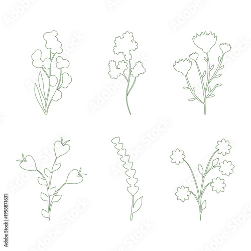 A collection of six unique line art flower drawings appears on a clean white background. Each botanical illustration features delicate outlines, showcasing different floral shapes and plant elements.