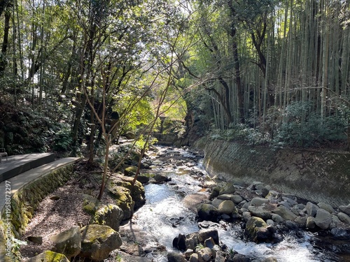 Quadro su tela 湯河原の川