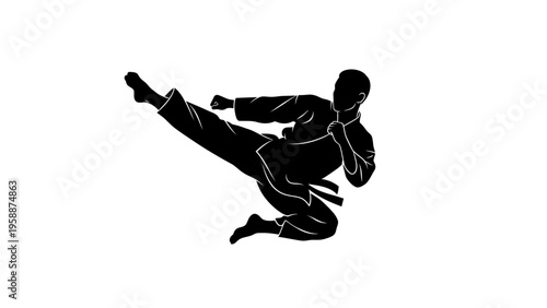 Silhouette of a martial artist in mid-air performing a powerful karate kick during a dynamic combat demonstration