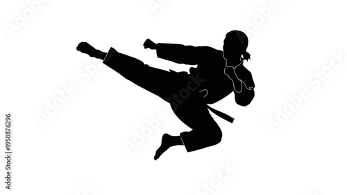 Dynamic silhouette of a martial artist executing a powerful flying side kick in mid-air against a white background