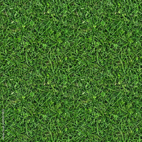 High-resolution photorealistic seamless texture of dense green grass and clover from a top-down perspective. Perfect for 3D modeling and architectural visualization