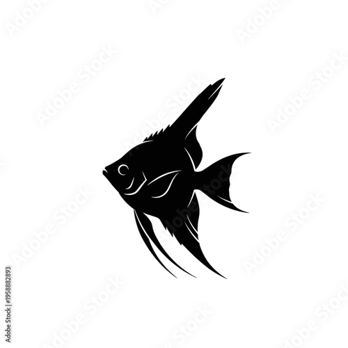 Black angelfish swimming in water.