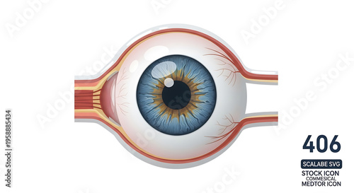 A detailed illustration of a human eye in a medical context, showcasing its anatomy.