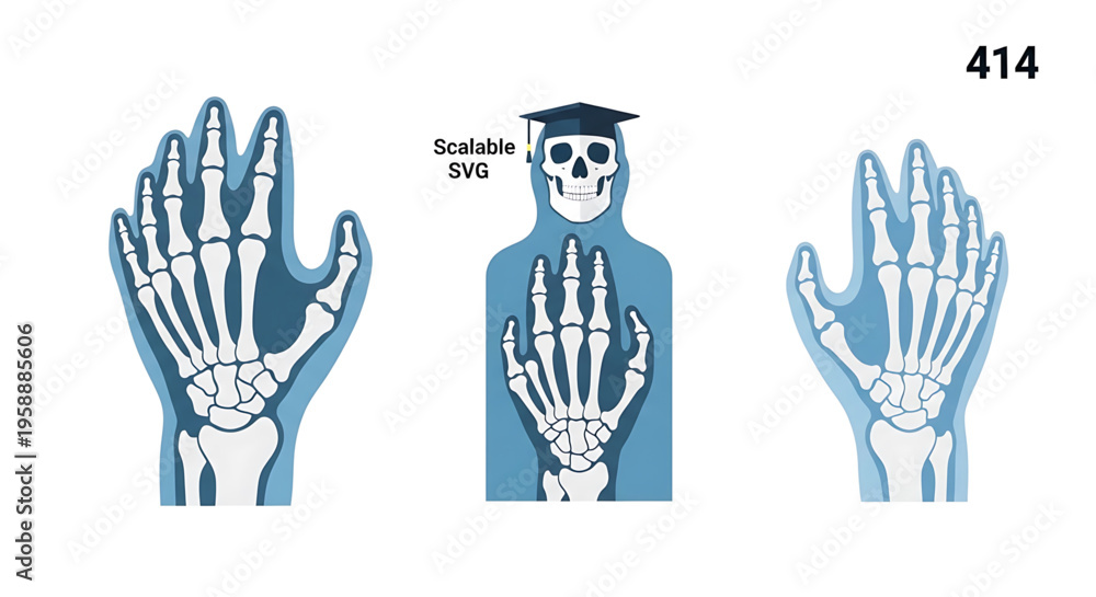 Fototapeta premium A vector graphic illustration of a skeleton wearing a graduation cap with hands showing different palm orientations.