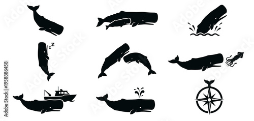Detailed sperm whale vector silhouette set. Marine wildlife icons featuring whale sleeping vertically, hunting giant squid, swimming near boat, and compass rose isolated on white.