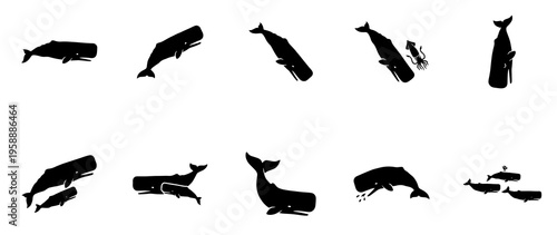 Sperm whale vector silhouette collection. Set of isolated black shape marine mammal illustrations. Ocean wildlife family mother and calf graphic design elements on white background.