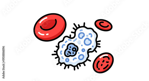 A vector graphic illustration of a white blood cell and red blood cells in a medical concept