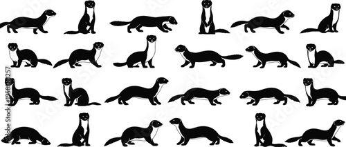 Large set of black weasel silhouettes with detailed fur textures including stoats and ferrets in various predatory poses isolated on white,