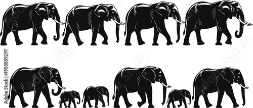 Set of black elephant silhouettes with detailed tusks and trunks including adult and baby elephants isolated on white for wildlife design,