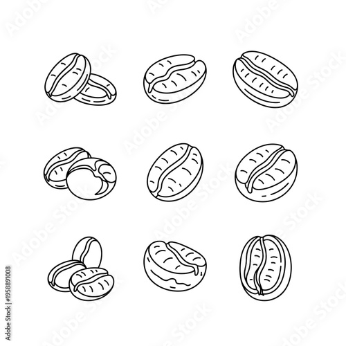Collection of Hand-Drawn Coffee Bean Illustrations.