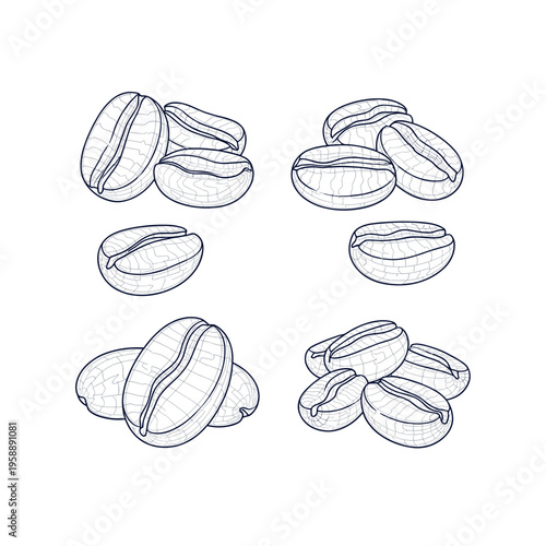 Collection of Hand-Drawn Coffee Beans Illustrations.