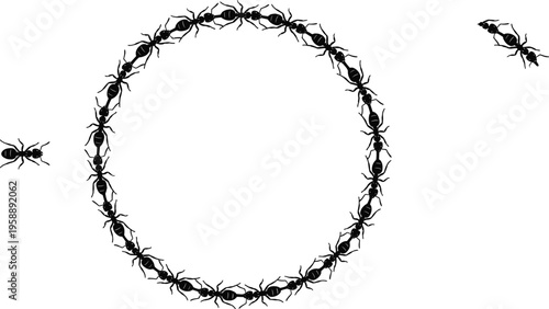 Ant circle silhouettes set, insect vector icons, bug graphics collection, black outline design, crawling ant loop, nature biology artwork, pest control illustration