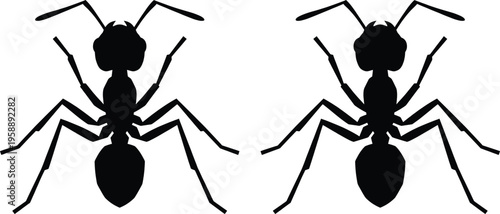 Ant silhouettes pair, insect vector icons, bug graphics collection, black outline design, crawling ant artwork, nature biology illustration, entomology symbol