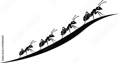 Ants walking on curved surface, teamwork silhouette artwork, insect vector illustration, nature concept design, black ant drawing, persistence and unity symbol