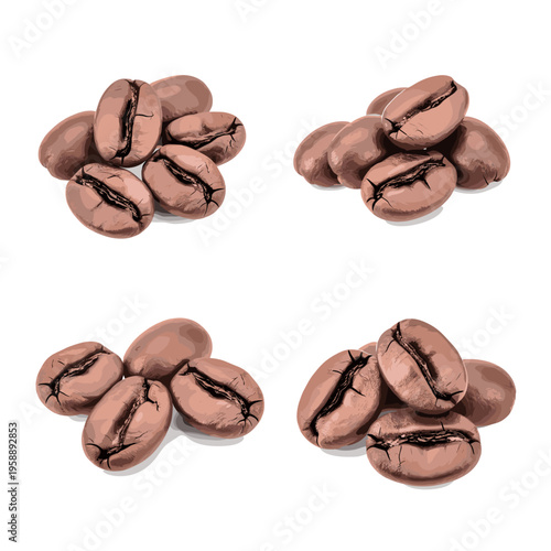 Four Piles of Roasted Coffee Beans on White Background.