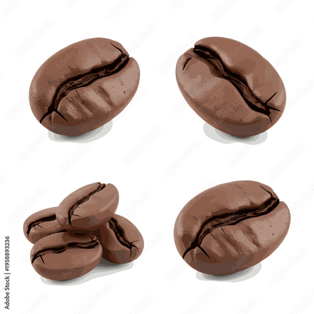 Fototapeta premium Four Realistic Coffee Beans Isolated on White Background.