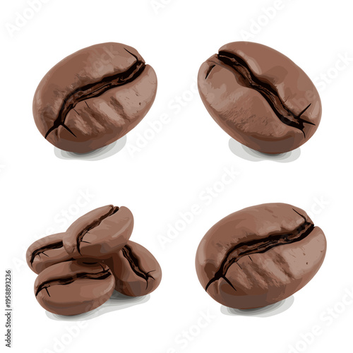 Four Realistic Coffee Beans Isolated on White Background.