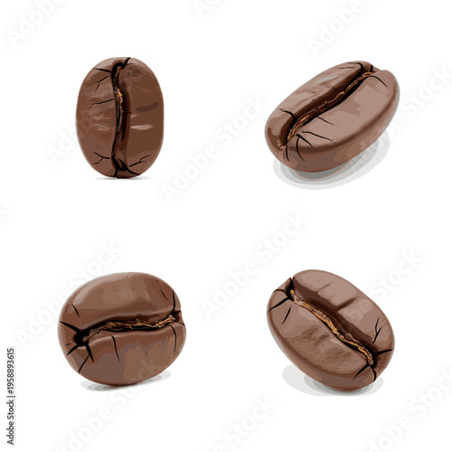 Four Roasted Coffee Beans Isolated on White Background.