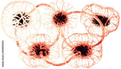3D neural network icons with connected nodes and digital links. Modern transparent background assets ideal for AI, machine learning, and data science applications.