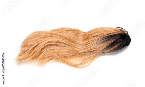 Beautiful unusual wig isola...