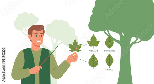 Botanical Illustration Demonstrating Leaf Morphology With A Teacher