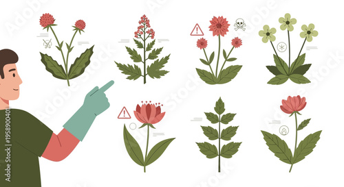Botanist Identifying Various Plant Species With Cautionary Icons