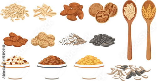 Healthy Nuts and Seeds Illustration Set Featuring Almonds, Walnuts, Peanuts, Sunflower Seeds and Grain Bowls for Nutrition Design