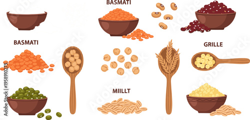 Healthy Grains and Cereals Illustration Set Featuring Quinoa, Chia Seeds, Lentils, Oats and Whole Grain Bowls for Nutrition Design