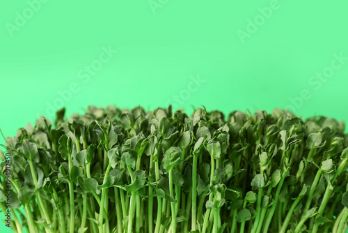 Fresh micro green on color background, closeup