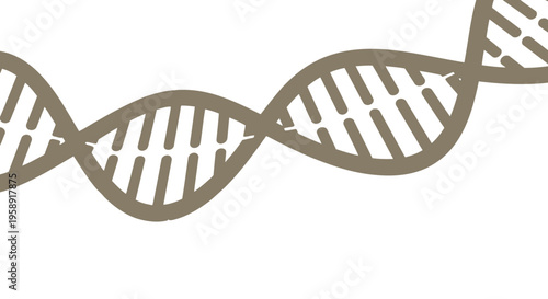 DNA double helix structure model.