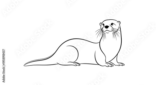 Outline illustration of a river otter on a white background for design