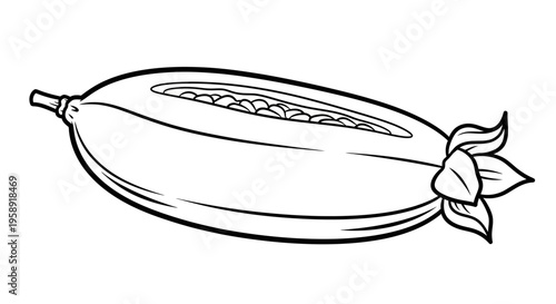 Black and white papaya fruit illustration for food and culinary design