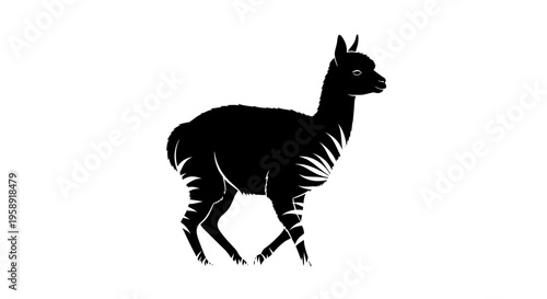 Black and white illustration of an alpaca against a clean white background