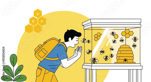 Curious Boy Observing Bees In A Glass Hive With Honeycomb Graphics