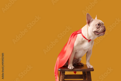 French bulldog in superhero...