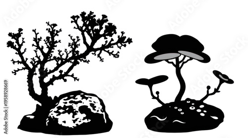 Stylized Black and White Illustration of Underwater Plants and Exotic Flora on Rocks