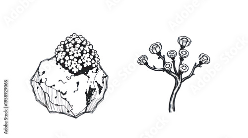 Abstract Ink Illustration Featuring Rock Formation with Organic Growth and a Stylized Botanical Branch