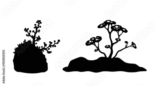 Silhouette of Two Stylized Plants with Organic Shapes on a Transparent Background