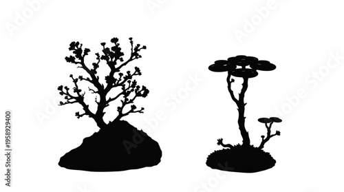 Silhouettes of Two Stylized Plant Forms Depicting a Flowering Tree and a Modern Abstract Plant Design
