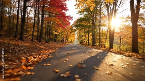 A picturesque road framed by trees with vibrant autumn foliage, covered in leaves